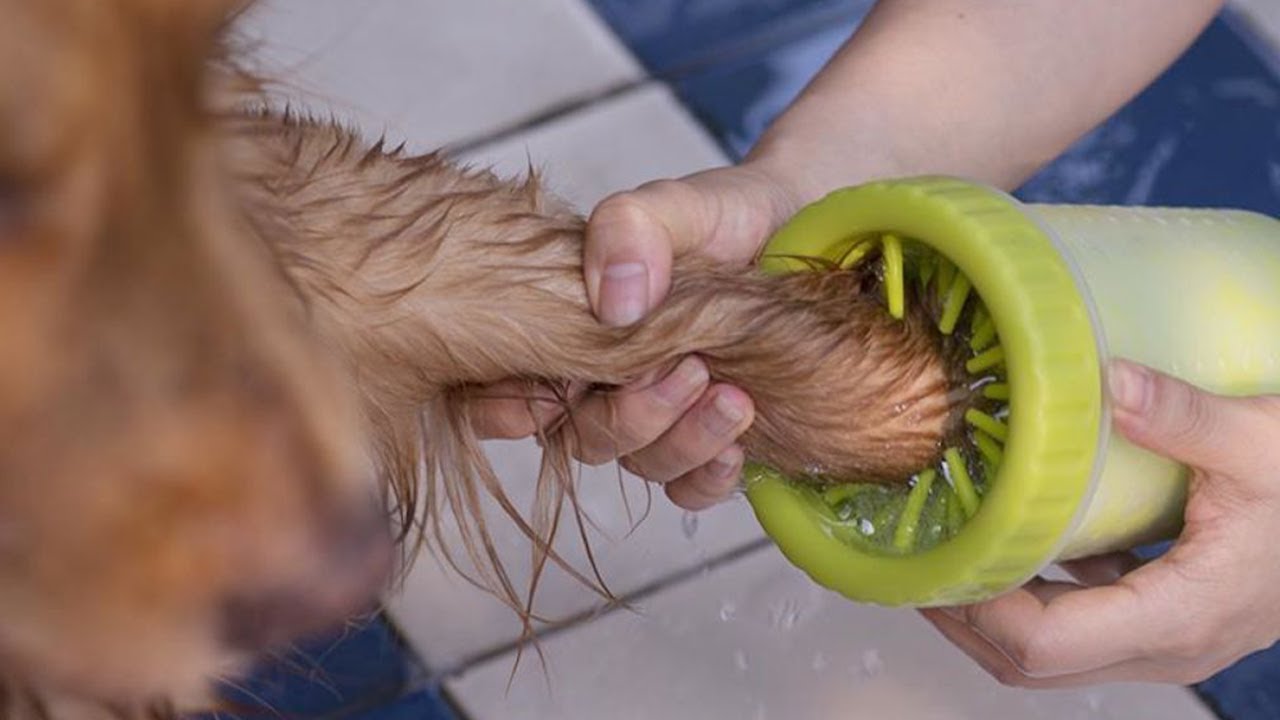 dogify paw cleaner