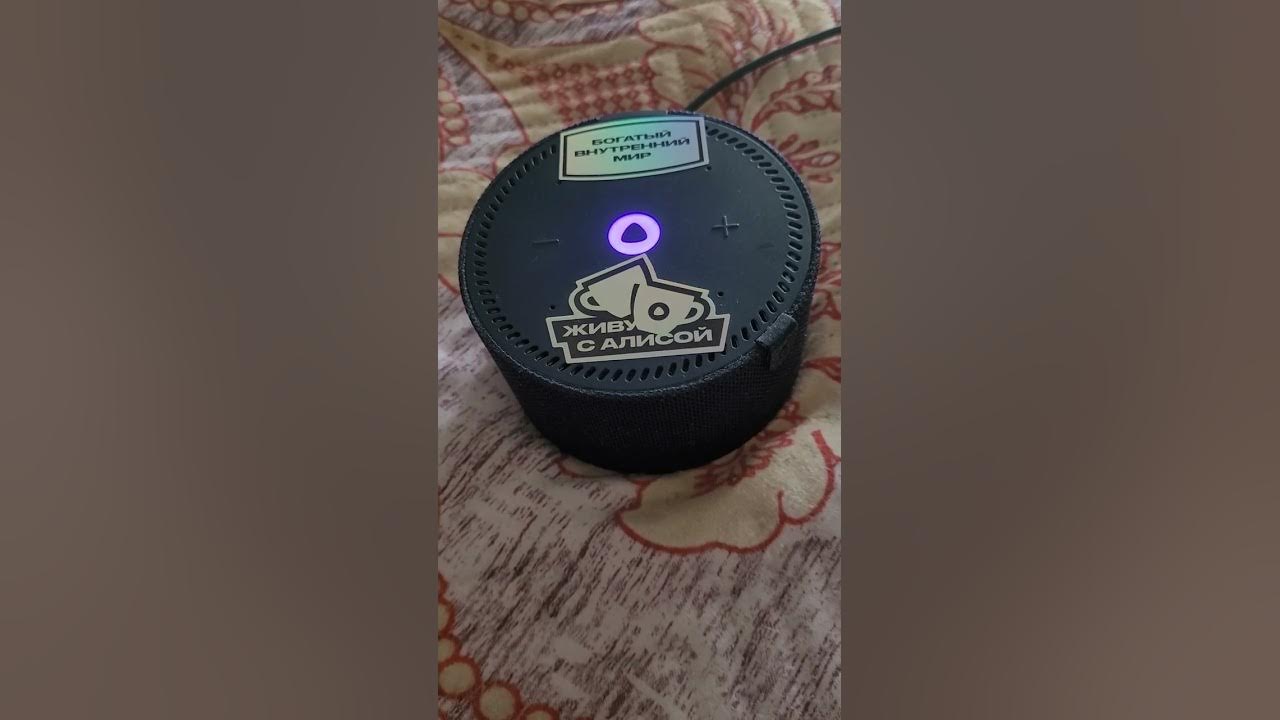 Два Плюс Два = Будет Пять !?!?! & АлИсА ТупИт )]}| #алиса #прикол # ...