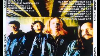 Screaming Trees-Something About Today (Numb Inversion version)