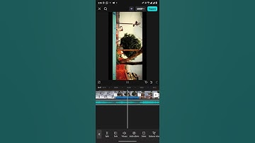 cinematic shorts || viral shorts in YouTube || capcut editing viral shorts || #cinematic #nature