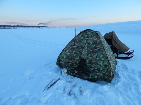 ловля налима в конце декабря