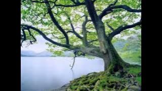 Haddad Alwi feat Anti