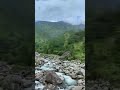 ##viral #lifeisbutadream #trending #kumaoni #pahadilifestyle ##pahadi