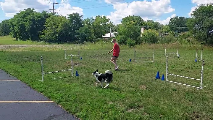 Saphire Novice Jumpers Pepper 7/31/22