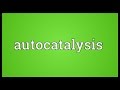 Autocatalysis Meaning