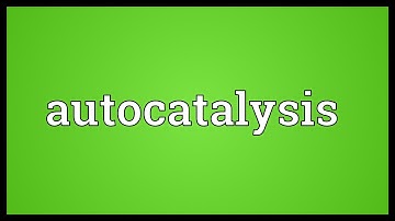 Autocatalysis Meaning