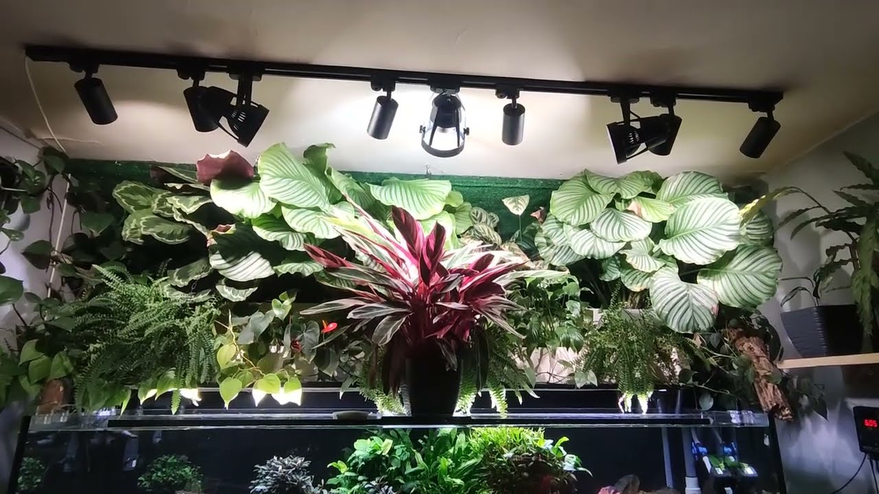 Hydroponika - odpowiedzi na techniczne pytania - co bym zmienil