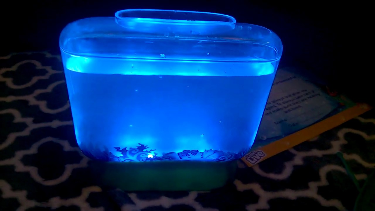 Aqua DRAGONS kit review (part 2) YouTube