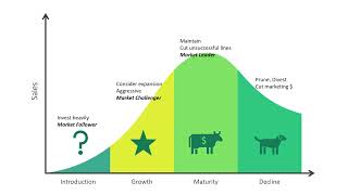 MBAD 6274.ON Strategic Marketing Plan Guide - Phase Two