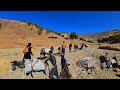 The nomadic migration of the Hojjat family