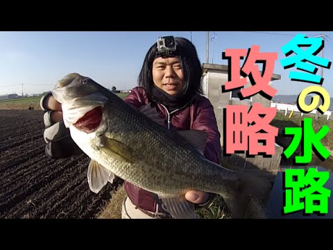 バス釣り 冬の水路攻略 Bass Fishing In Japan Youtube