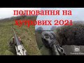 Полювання на хутрових 🐇🦊 Охота на зайця 2021