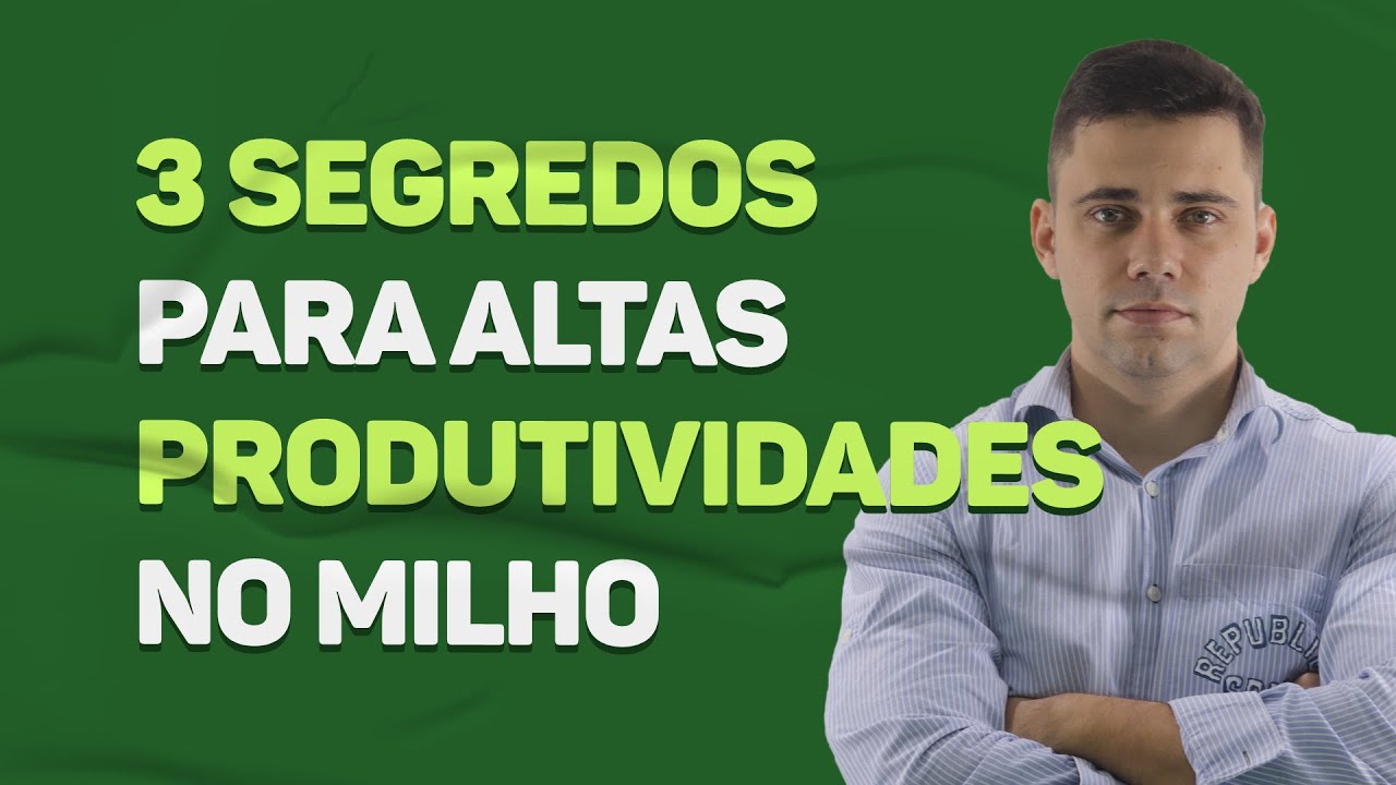 3 Segredos para Altas Produtividades no Milho