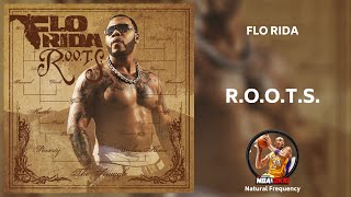 Flo Rida - R.O.O.T.S. [432Hz]