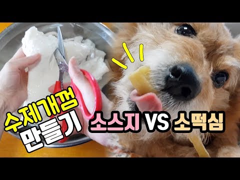 강아지간식 수제개껌(소스지&소떡심) 만들기 첫 도전! (지옥을 경험하다...)/ DIY Dog Treats(Homemade)