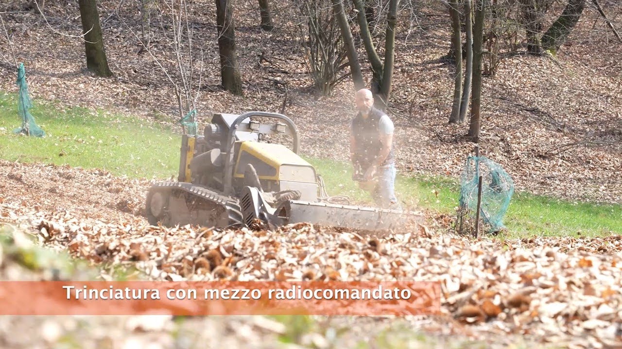 Field day: crop residues management - Dimostrazioni in castagneto: gestione dei residui 