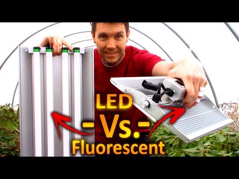 LED Grow Lights vs Fluorescent Bulbs for Seedlings and Cuttings | ViparSpectra XS 1000 Grow Light