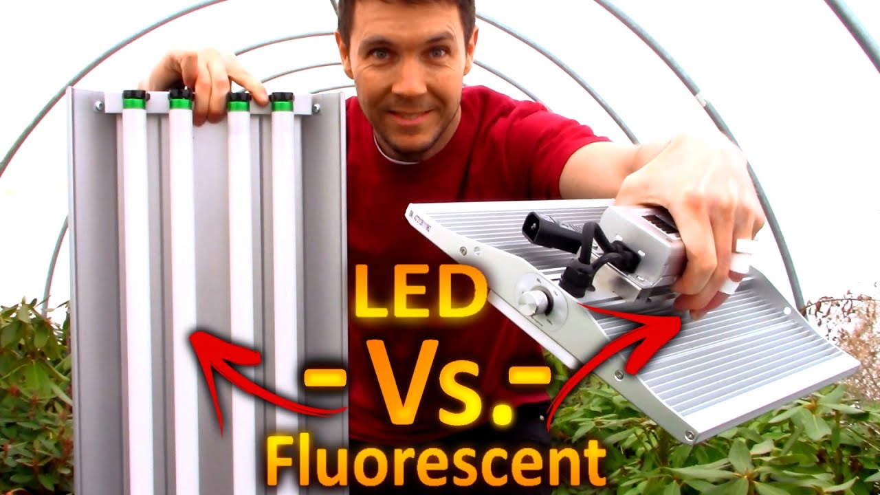 LED vs. Florescent Tubes