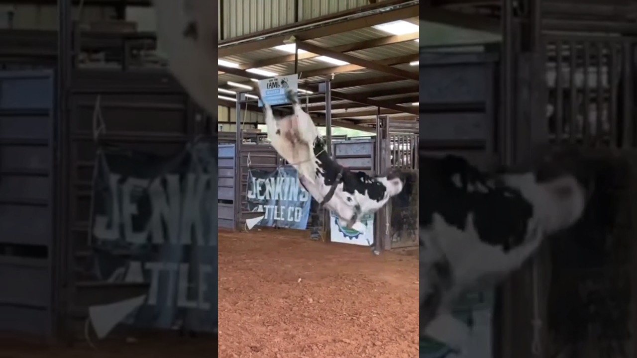 TOURINHO NO ROBÔ COWBOY|MÁQUINA DE PULOS 🔥