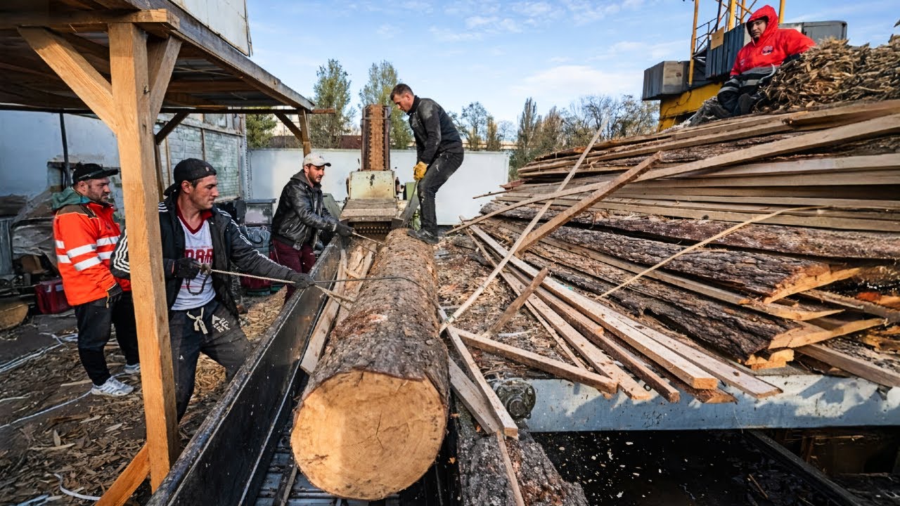 UNSTOPPABLE CREW: MEGA Professional Wood Chipping Teamwork