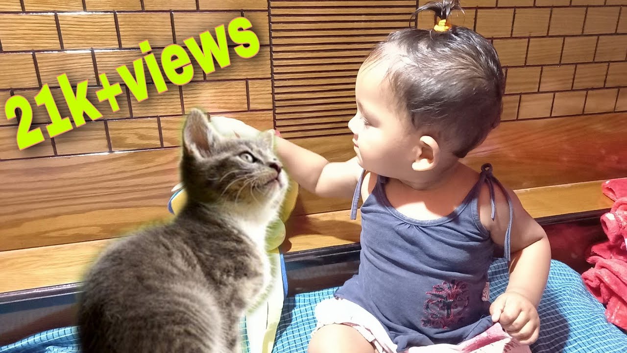 Baby and Cat Fun and Cute Funny Baby Video YouTube