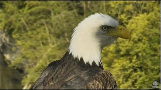 Decorah Iowa~Visit by Decorah Mom \& close up~ 9:29 am 2018\/09\/15p