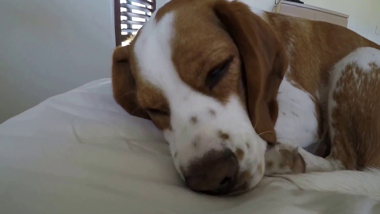 Go Pro 5 Black - test 1080p @120fps