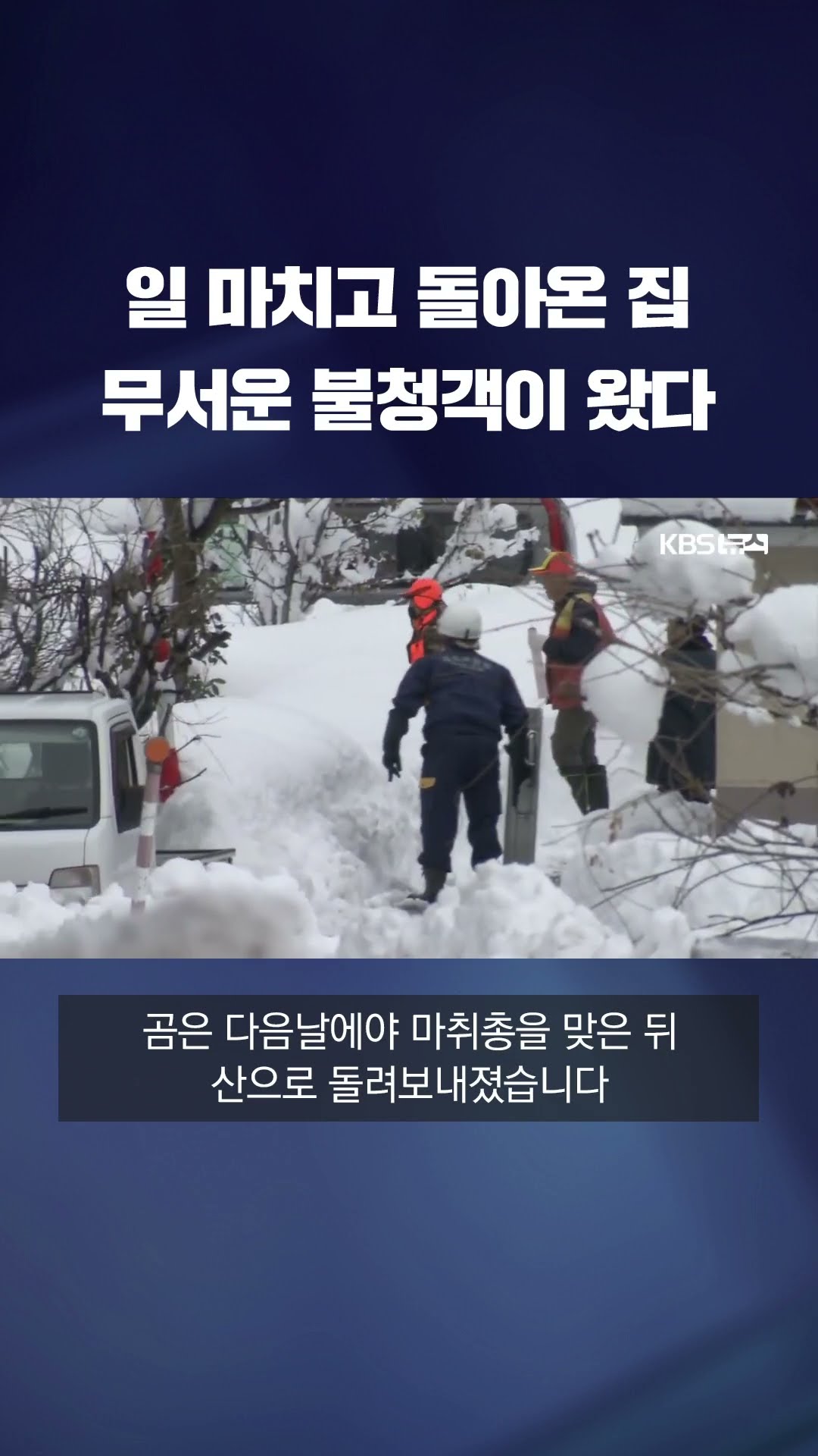 내 집에 들어온 불청객 #shorts / KBS