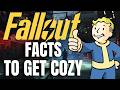 160 Obscure Fallout Facts to Fall Asleep To