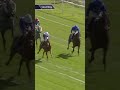 See The Fire defends her crown in the Middleton Stakes 🏆