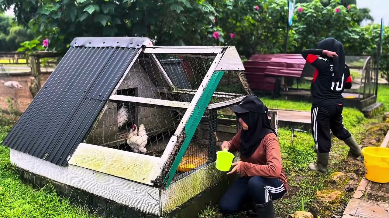 VIDEO PROFIL DESA TUMIYANG OLEH KKN UMPURWOKERTO