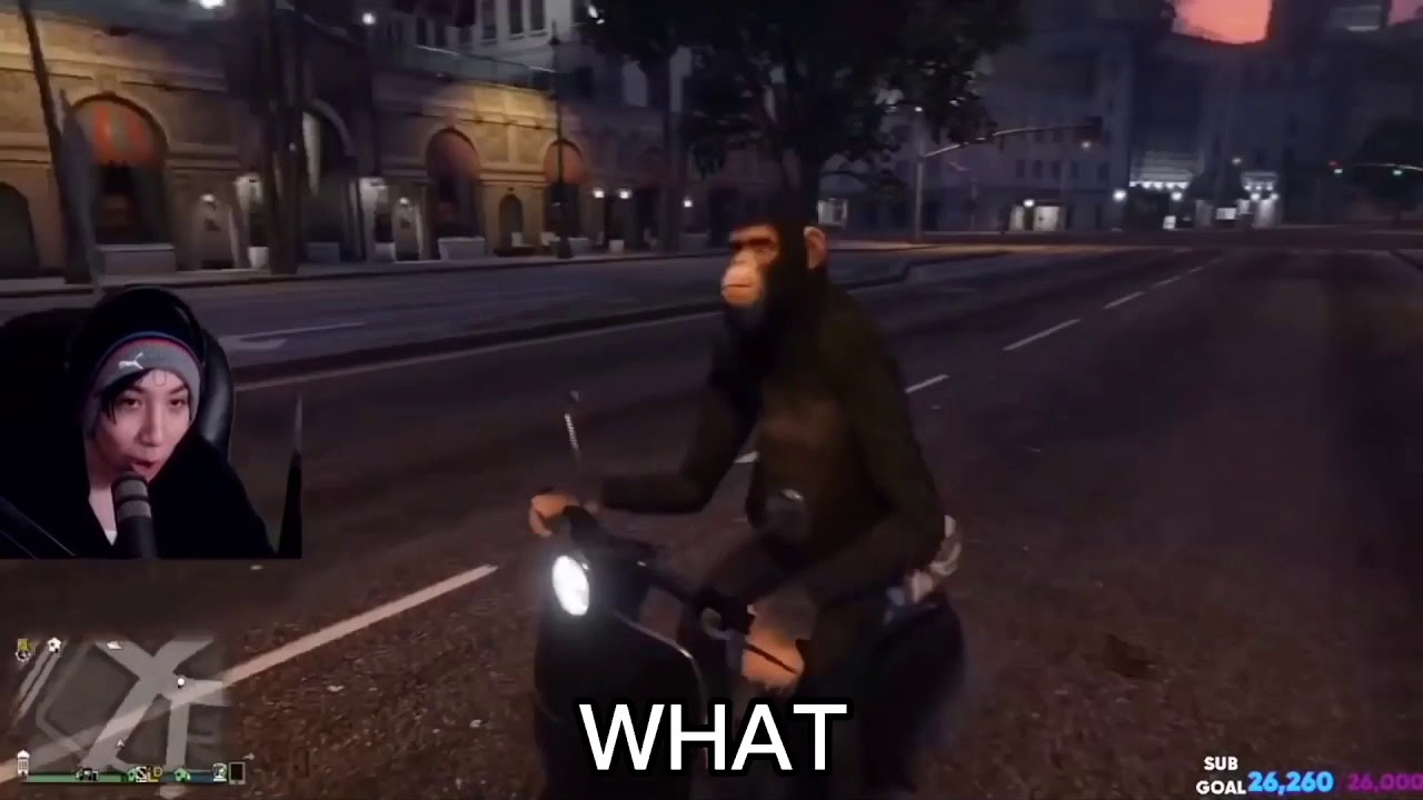 Quackity and badboyhalo being freaked out by a monkey in gta🤣