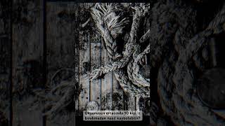 150 YILDIR ÇÖZÜLEMEYEN GİZEM: MARY CELESTE OLAYI #belgesel #efsaneler #failimeçhul #gizemli #korku