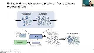 Learning from natural antibodies for sequence generation and fast structure prediction