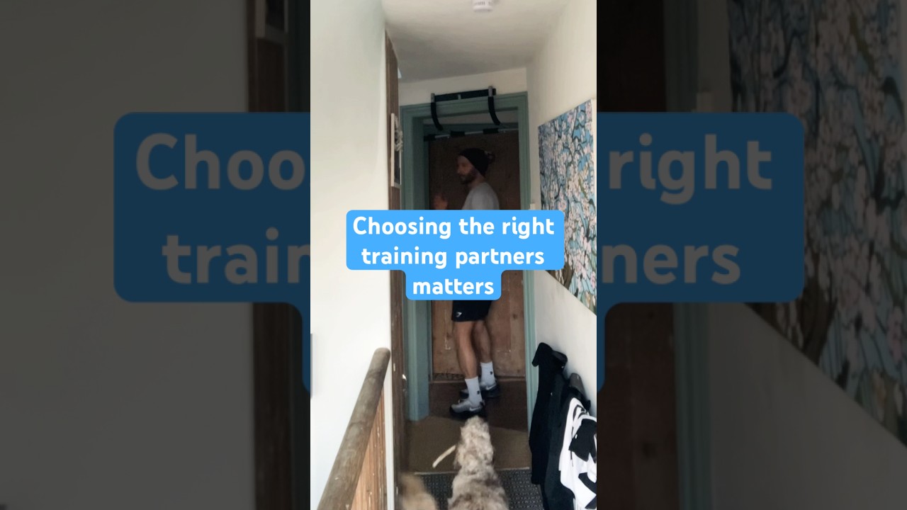 Watch Out: Even Your Dog Can Be a Better Training Partner After 40