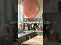 The Balloon Egg and Flower Science Quest