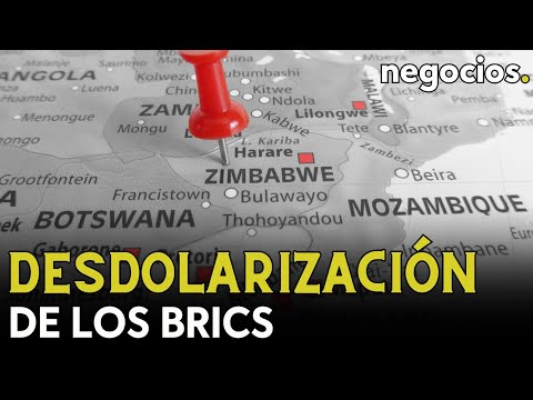 Zimbabwe se une a la desdolarizaci&oacute;n: es el &uacute;ltimo pa&iacute;s en subir al tren de los BRICS