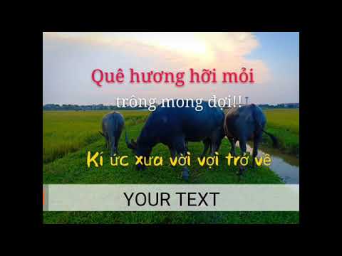 ninh bình mùa lúa chín Update New Người Ninh Bình.Cuộc sống thôn quê.Mùa lúa chín trên quê hương Ninh Bình