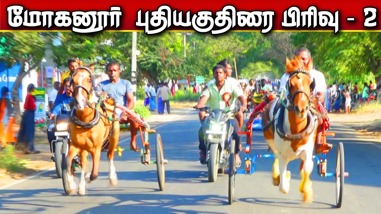 மோகனூர் புதியகுதிரை  பிரிவு 2 ||17/01/2023 நாமக்கல் மா Mohanur pudhiya kuthirai set-2 ksk rekal race