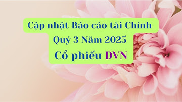 Cập nhật Báo cáo tài chính Quý 3 Năm 2025 của cổ phiếu DVN