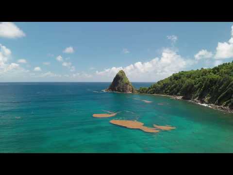 Anse Charpentier Martinique