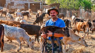 Η φάρμα του Σταύρου | Η ζωή στο χωριό | Greek Village Life