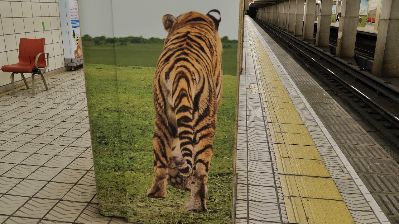 大阪メトロ　御堂筋線　動物園前駅②　2021/4（4K UHD 60fps）