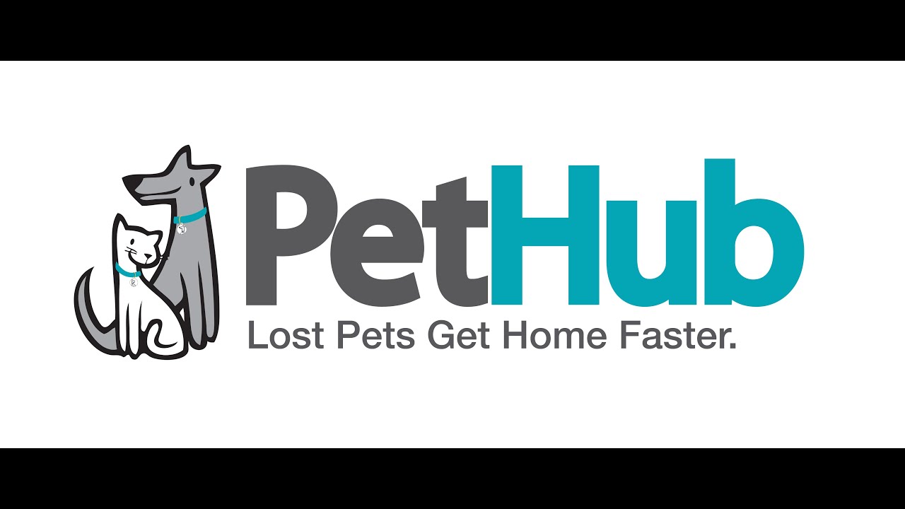 PetHub Found Me Stories YouTube