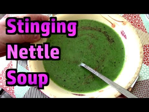 Video: How To Make Spring Nettle Soup