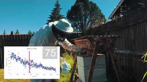 Counting Bees - Computer Vision with VLC