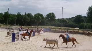 3 Man 2 Gate sorting entraînement sur le site d' Equiblues