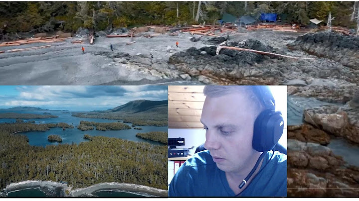 Live Stream Reaktion  : Auf der Jagd nach dem Wolf - 1 Tag als Naturfotograf📷.