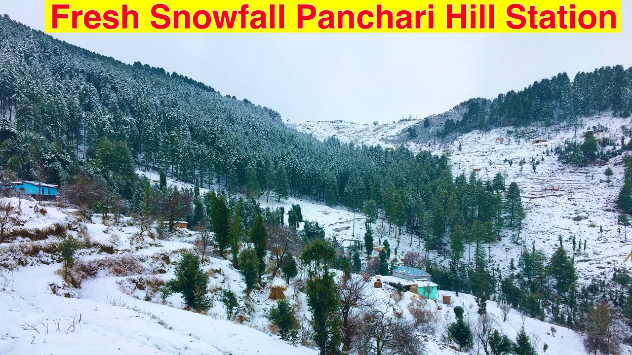 Hill Station Panchari | Snowfall Live Visuals | Vj Panchari