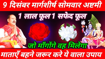 9 दिसंबर मार्गशीर्ष सोमवार अष्टमी को 1 लाल फूल 1 सफेद फूल वाला उपाय जरूर करे || Pradeep Ji Mishra